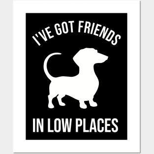 Dachshund, I've Got Friends In Low Places Posters and Art